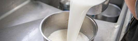 pouring goat milk