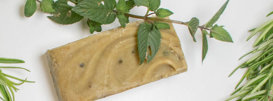 Rosemary in Natural Shampoo