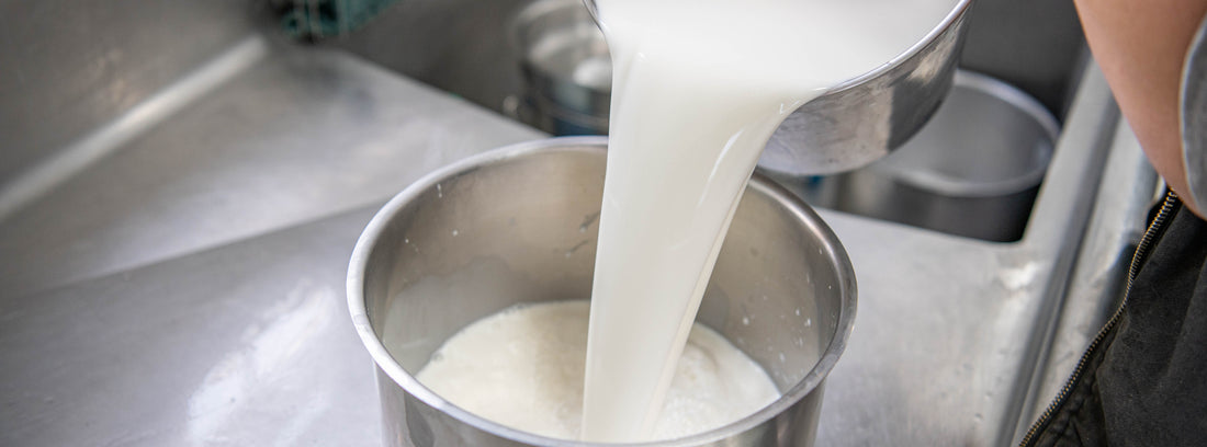 Raw goat milk