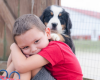 Landon with Bernese Mountain Dog puppy
