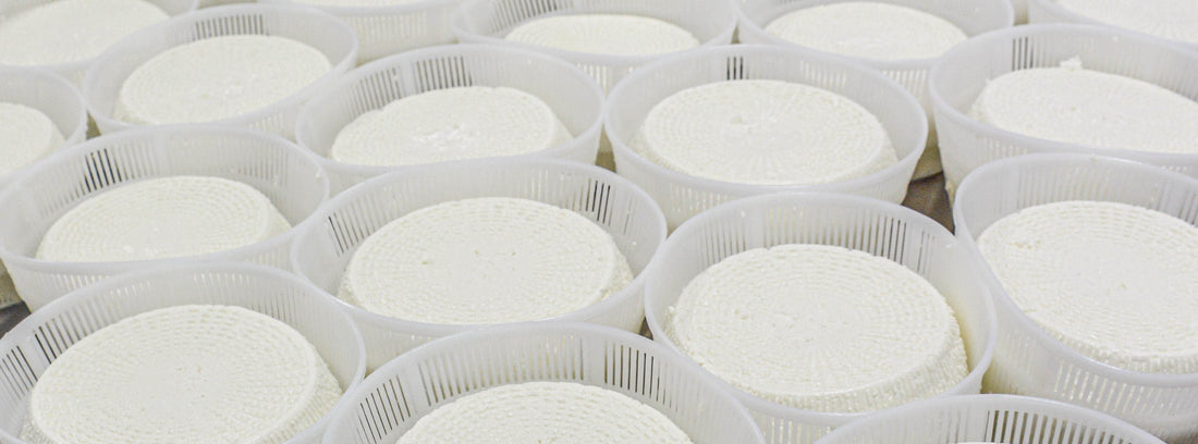 Can Goat Milk Help with Anemia?