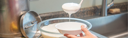 goat milk yogurt