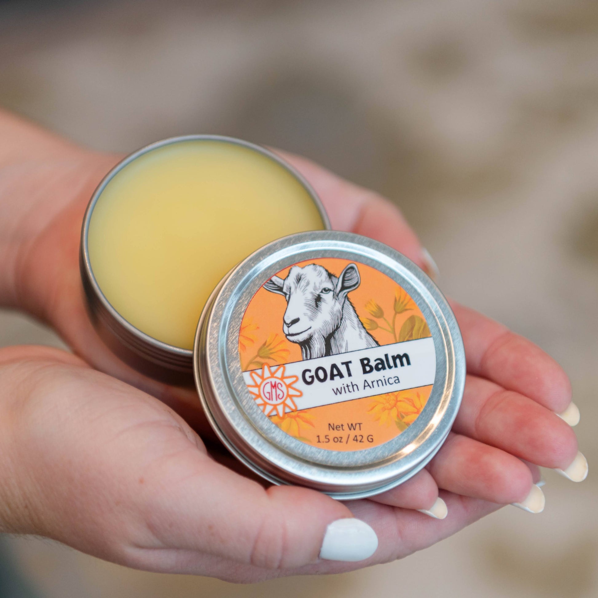 Person holding two tins of Goat Balm with Arnica, one open showing a yellow balm.