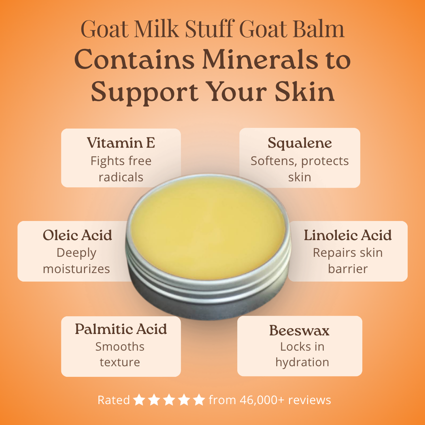 Goat milk balm with ingredients listed on an orange background