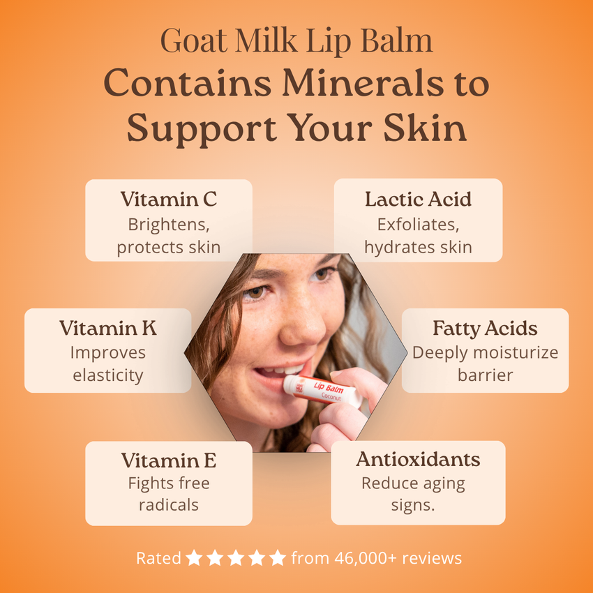Goat milk lip balm with benefits listed on an orange background