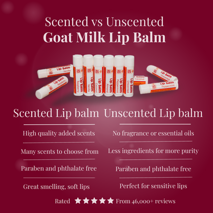 Comparison of scented and unscented goat milk lip balm on a red background