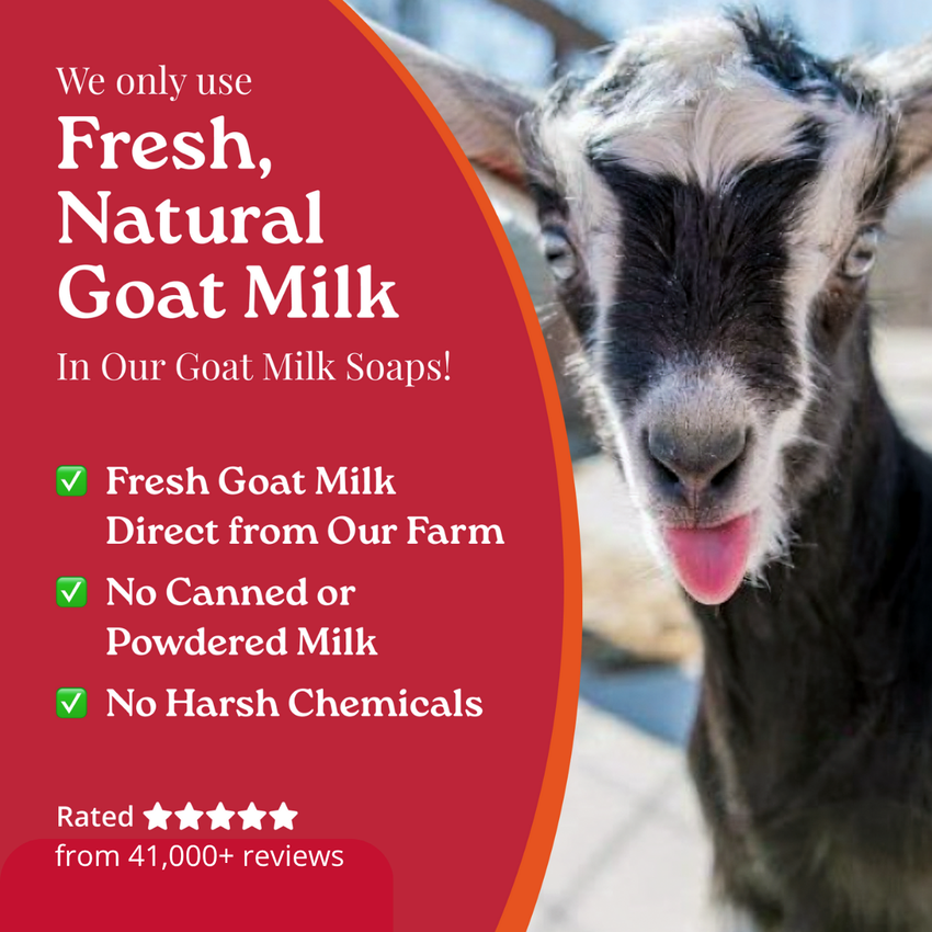 Promotional graphic for goat milk soaps with a goat and text on a red background