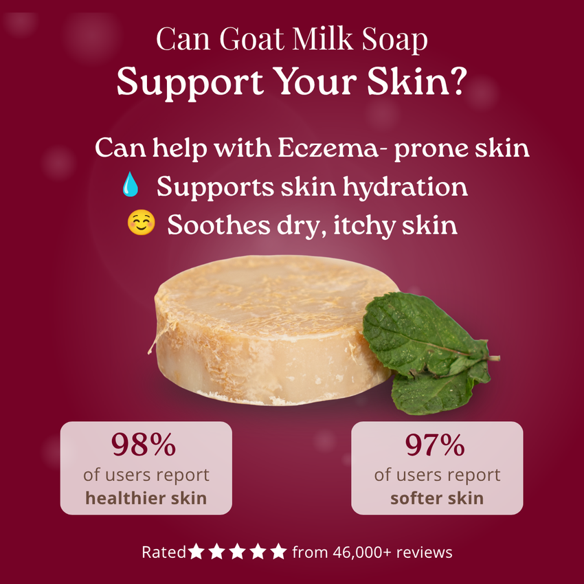 Goat milk soap with green leaf on a red background, highlighting benefits for skin.