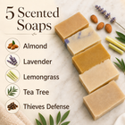 Best Soap Scented Bundle
