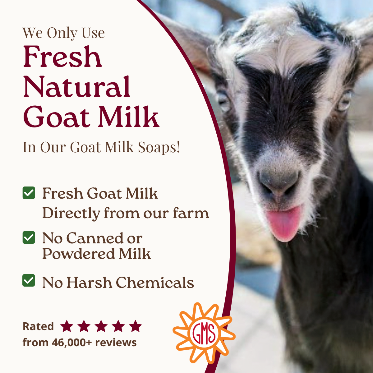 Goat milk soap advertisement with a goat and product details.