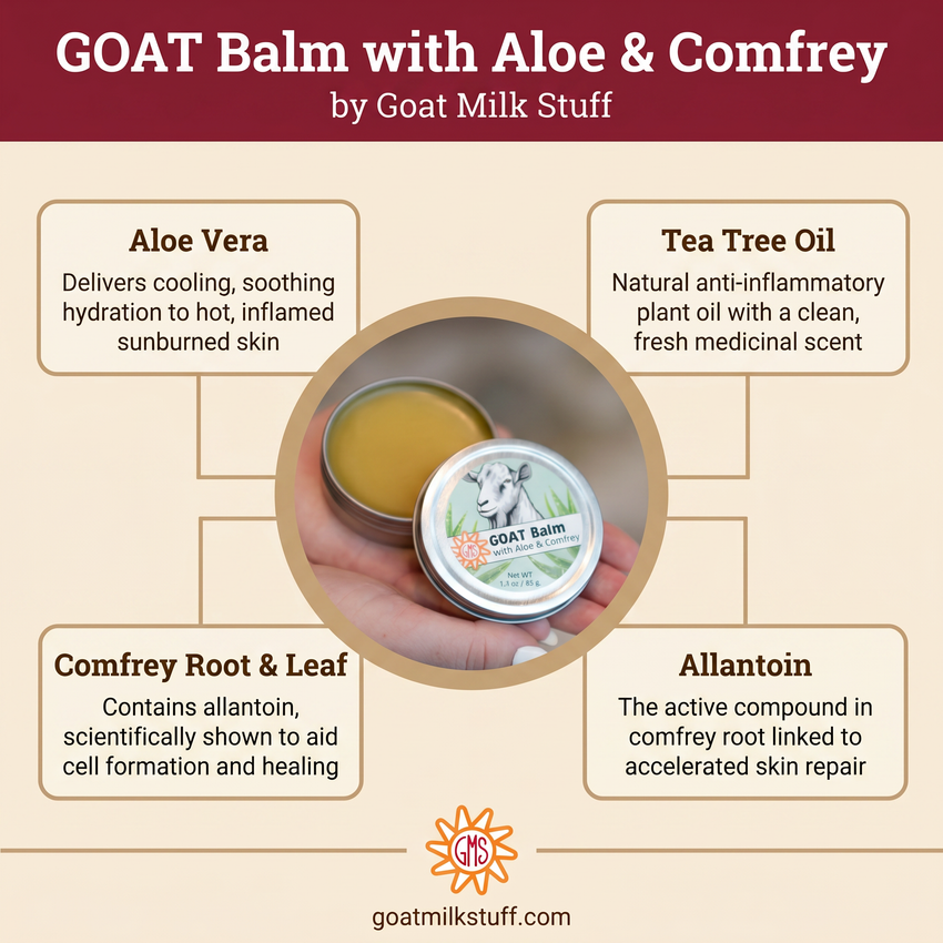 GOAT Balm with Aloe & Comfrey by Goat Milk Stuff, showing balm and container with ingredients listed.