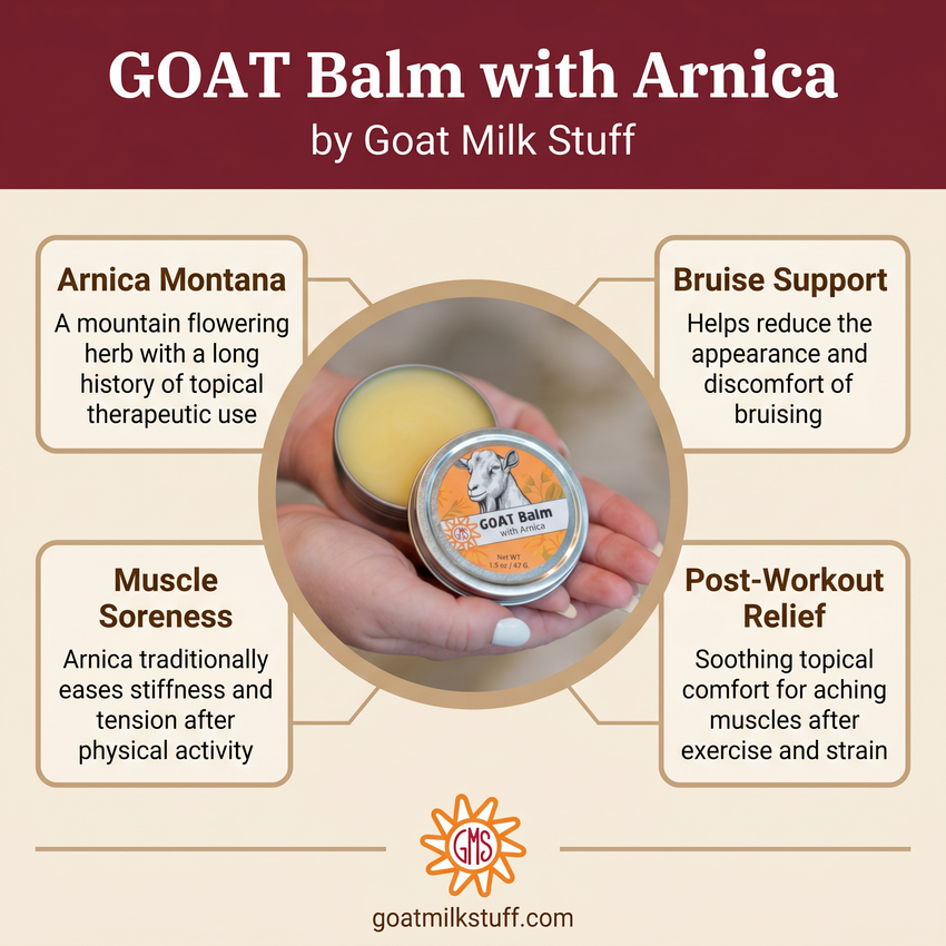 GOAT Balm with Arnica by Goat Milk Stuff on a beige background