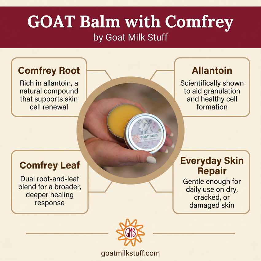 GOAT Balm with Comfrey by Goat Milk Stuff, featuring a hand holding a balm container and text about its ingredients and benefits.