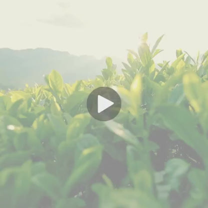 Testimonial Video - Tea Tree