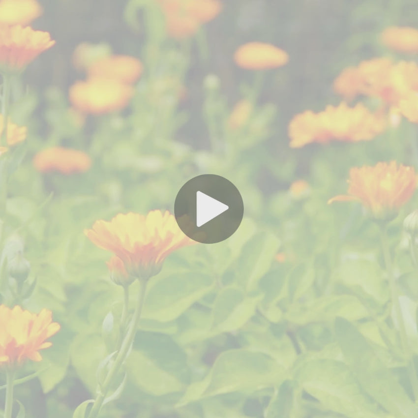 goat milk stuff testimonial video calendula