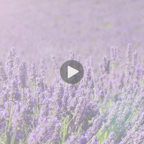 Testimonial Video - Lavender