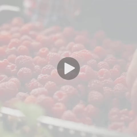 Testimonial Video - Black Raspberry